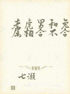 老虎男和兔子女属相合不合