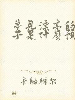 梦见漂亮的新房子是什么预兆