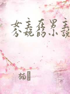 女主在男主怀里分娩的小说