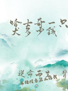 哈士奇一只成年犬多少钱