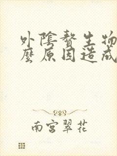 外阴赘生物是什么原因造成的