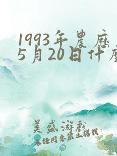 1993年农历5月20日什么命运
