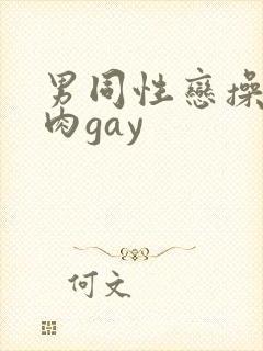 男同性恋操小鲜肉gay