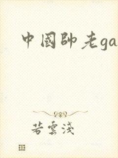 中国帅老gay