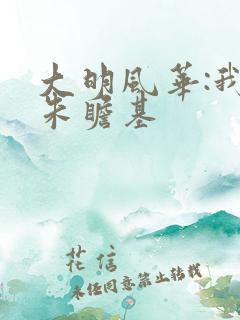 大明风华:我是朱瞻基