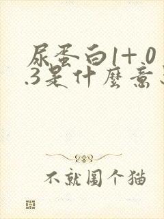 尿蛋白1+ 0.3是什么意思