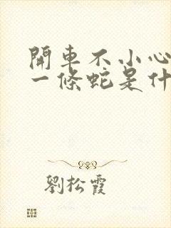 开车不小心压死一条蛇是什么预兆