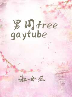 男同free gaytube