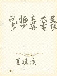 我怕来不及一共多少集电视剧