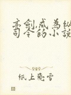 亮剑,成为纵队司令的小说