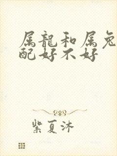 属龙和属兔的婚配好不好