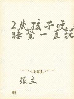 2岁孩子晚上不睡觉一直玩