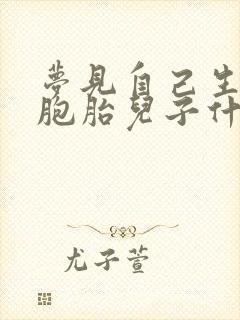 梦见自己生了双胞胎儿子什么预兆