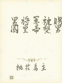 男将军被赐给敌国皇帝双男主