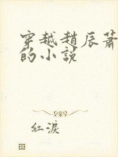 穿越赵辰萧嫣然的小说