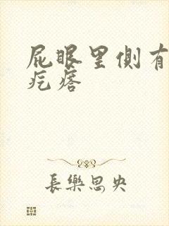 屁眼里侧有个硬疙瘩
