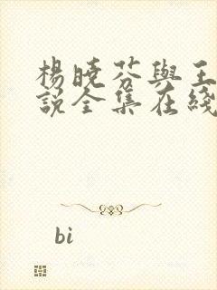 杨晓芬与王磊小说全集在线阅读