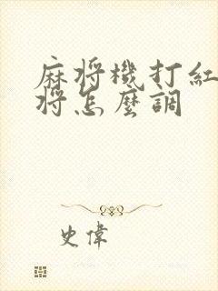 麻将机打红中麻将怎么调