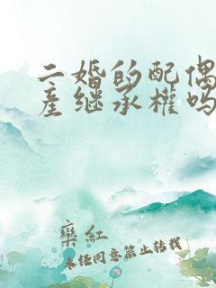 二婚的配偶有财产继承权吗