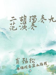 二胡独奏九儿示范演奏