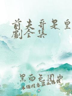 前夫哥是皇帝短剧全集