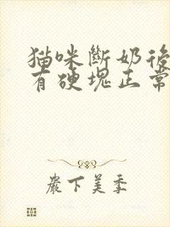 猫咪断奶后乳房有硬块正常吗