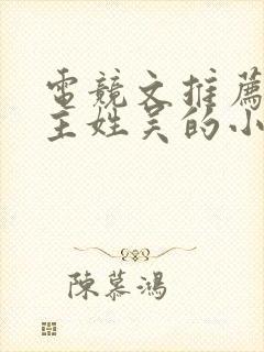 电竞文推荐双男主姓吴的小说