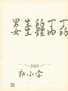 男生的丁丁插入女生体内的视频