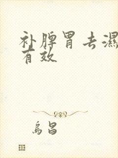 补脾胃去湿气最有效