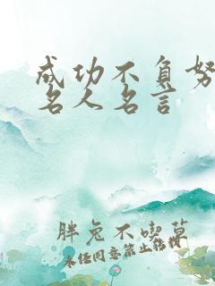 成功不负努力的名人名言