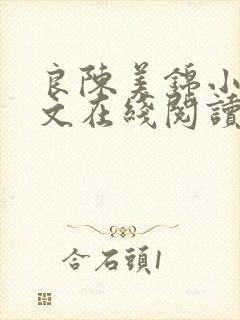 良陈美锦小说全文在线阅读