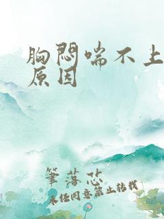 胸闷喘不上气的原因