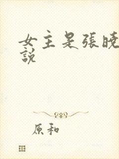 女主是张晓的小说