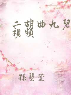 二胡曲九儿独奏视频