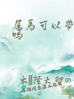 属马可以带朱砂吗