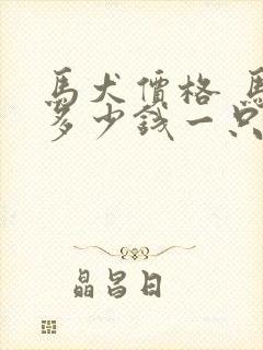 马犬价格 马犬多少钱一只