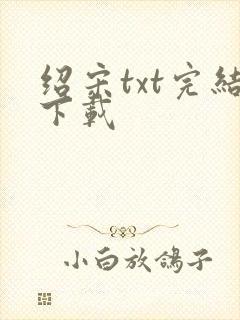 绍宋txt完结下载