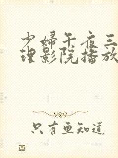 少妇午夜三级伦理影院播放器