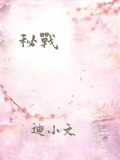 秘战