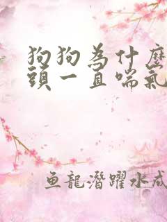 狗狗为什么吐舌头一直喘气