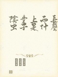 阴囊上面长了小虫子是什么原因?