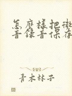 怎么样把微信语音录音保存