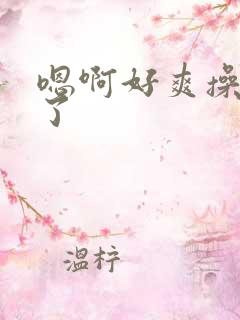 嗯啊好爽操死我了