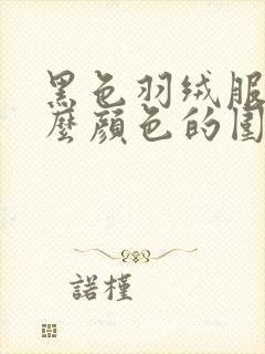 黑色羽绒服搭什么颜色的围巾好看