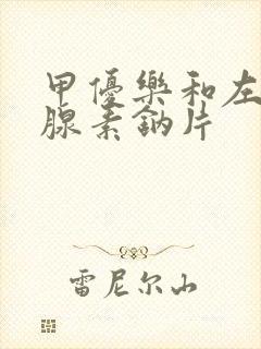 甲优乐和左甲状腺素钠片