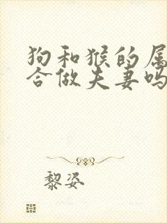 狗和猴的属相适合做夫妻吗