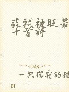 苏轼被贬最经典十首诗