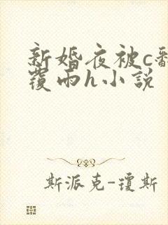 新婚夜被c翻云覆雨h小说