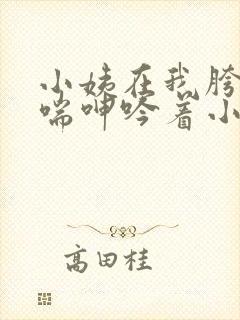 小姨在我胯下娇喘呻吟着小说