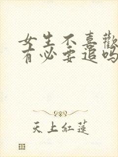 女生不喜欢你还有必要追吗